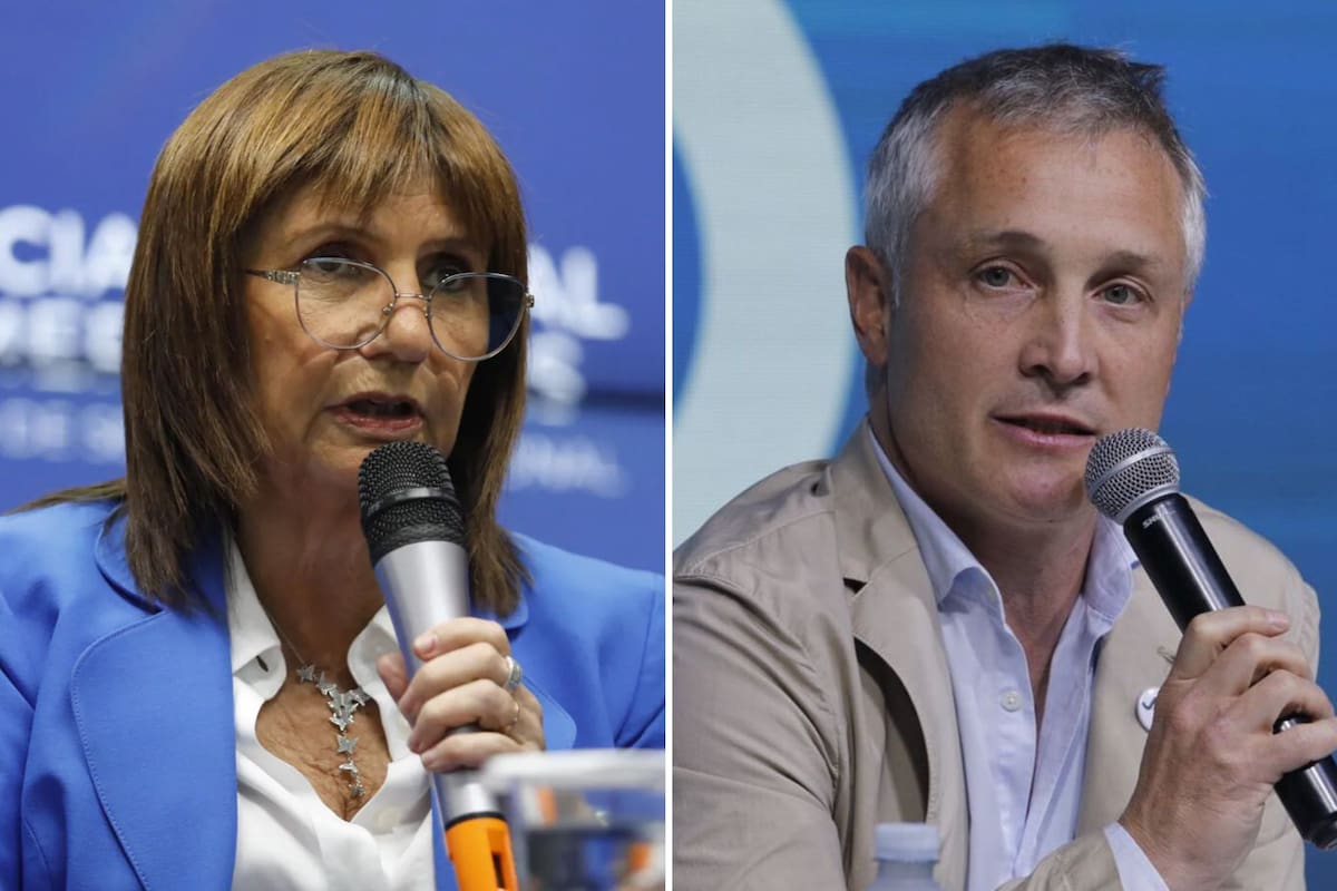 Patricia Bullrich y Fernando de Andreis
