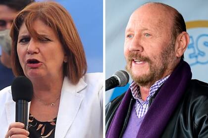 Patricia Bullrich y Gildo Insfrán