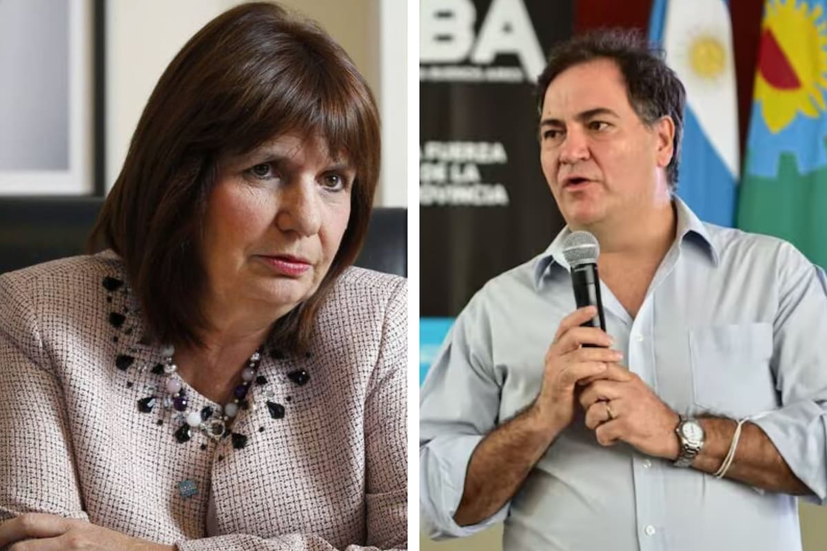 Patricia Bullrich y Javier Alonso protagonizaron un cruce en redes sociales por el debate sobre la baja de la edad de imputabilidad