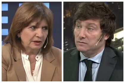 Patricia Bullrich y Javier Milei, con puntos en común