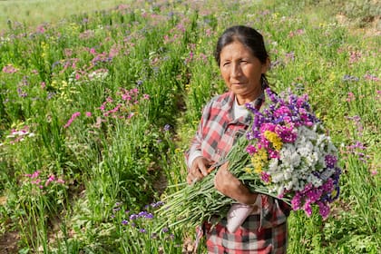 Patricia cultiva flores y espera a los turistas: el tren es la esperanza de progreso