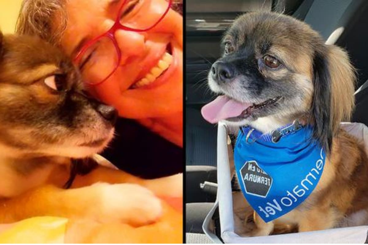 Patricia tiene 60 años y no es muy fanática de los deportes. Por ello, antes de adoptar, buscó un perrito que no necesitará realizar demasiada actividad física durante el día