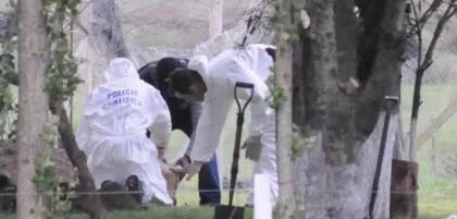Patrulleros de la Comisaría séptima de Abasto y otras dependencias pertenecientes a la Estación de Policía Departamental de Seguridad (EPDS) de La Plata , dotaciones de bomberos y decenas de vecinos salieron con linternas en mano a rastrear cada rincón de la zona