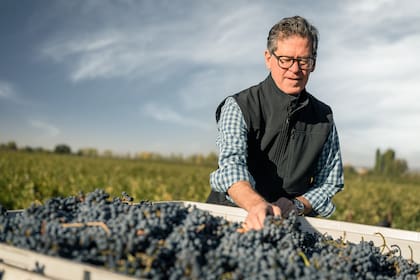 Paul Hobbs, en Viña Cobos, donde produce el Cobos Malbec