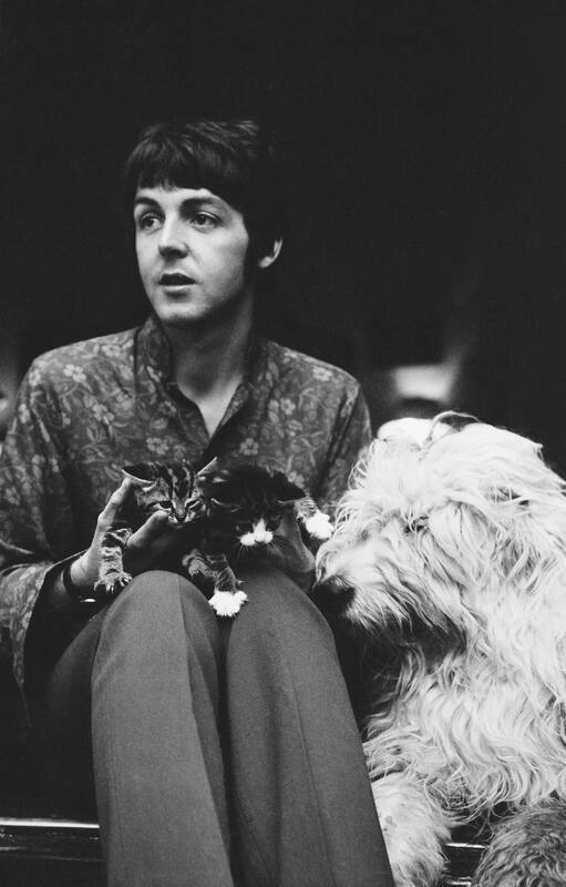 Paul McCartney con su perra y dos gatitos en su casa de St John's Wood, Londres, el 20 de junio de 1967.