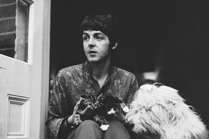 Paul McCartney junto a su perro y sus dos gatos, en el frente de su casa en Londres, en junio de 1967