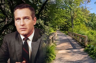 Paul Newman tenía un campo y años después lo donó para contribuir a una reserva natural de más de 15 hectáreas