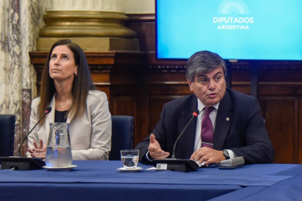 Paula Castro y Marcelo Gallo Tagle, durante la presentación de los magistrados en la Cámara de Diputados
