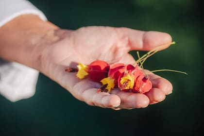 Paula Méndez Carrera decora los platos con las flores comestibles que caracterizan su cocina