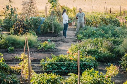 Paula se encarga de la huerta de 15 ha de flores comestibles; hoy cocina con ellas