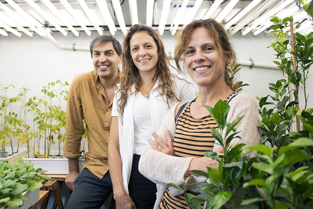 Pavel Kerchev, Lucila García, y María Rosa Marano, los investigadores
