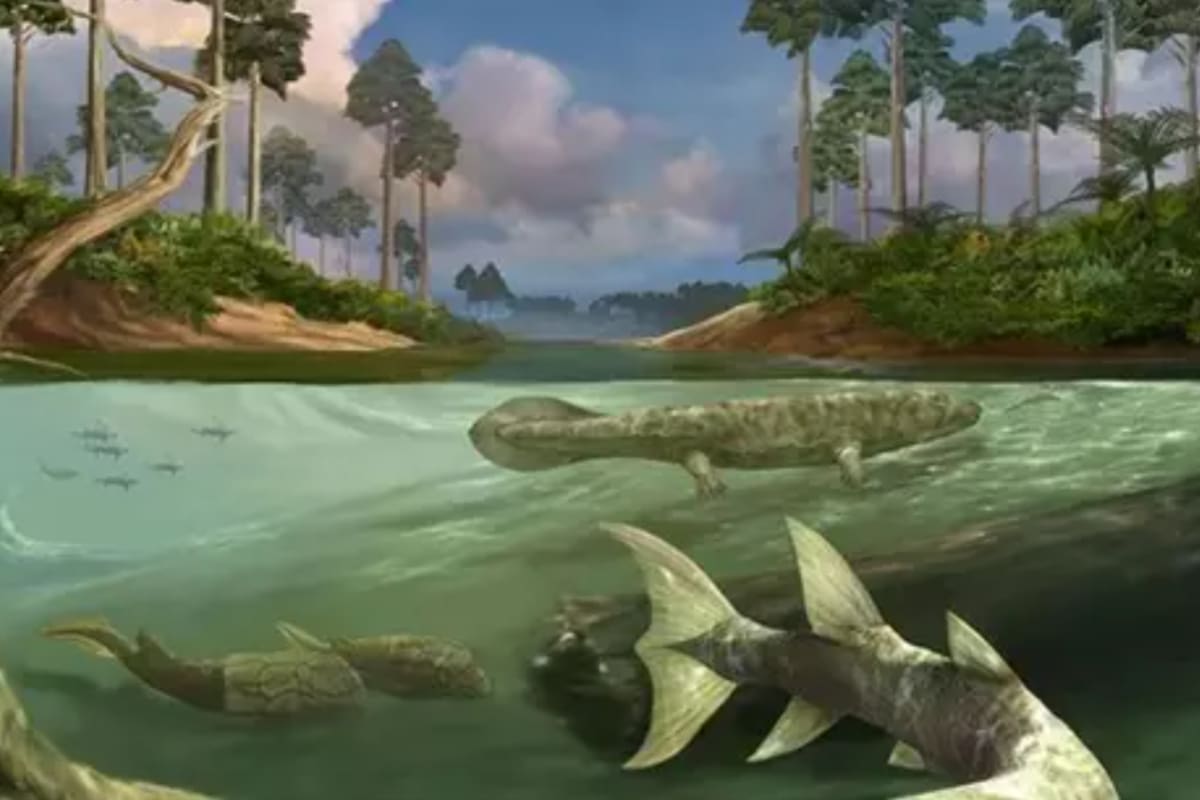 Peces con huesos óseos se desarrollaron hace 400 millones de años (Universidad de Oxford)