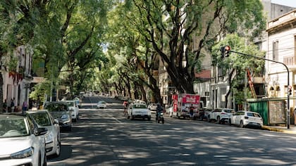 Pedro Goyena, la avenida en la que está uno de los emprendimientos que financia departamentos listos