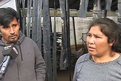 Pedro y Paulina, la pareja dueña de los perros que habrían matado a Valentino