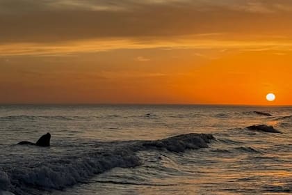 Pehuen Có, la playa al sur de la provincia de Buenos Aires en que se puede ver el atardecer sobre el mar