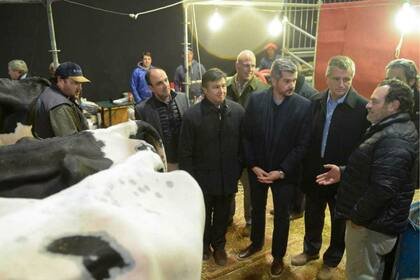 Pelegrina, Peña y Etchevehere en lugar de las vacas lecheras de La Elisa