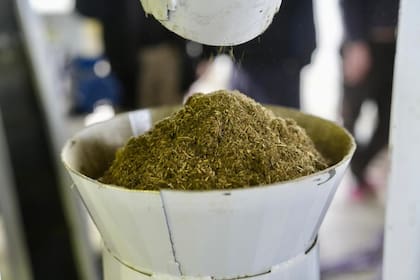 Pellet de la planta puesta en funcionamiento en Gobernador Gregores