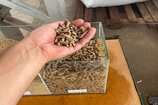 La empresa riojana del agro que rompió el molde de lo común y logró un exclusivo sello