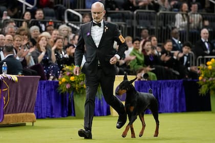 Penny, una dóberman pinscher, gana la 150ma edición del concurso canino Westminster