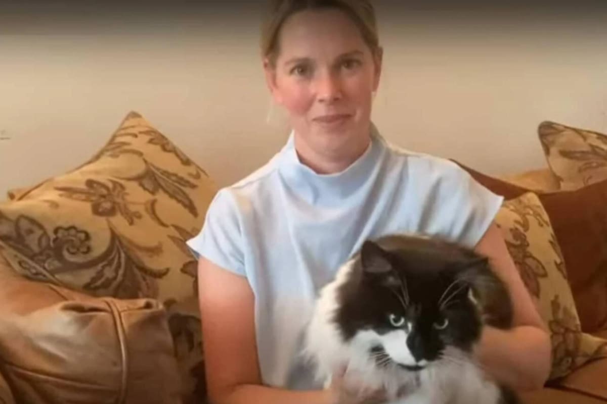 Pensó que su gato estaba muerto, lo cremaron y lo que pasó después los dejo a todos sin palabras