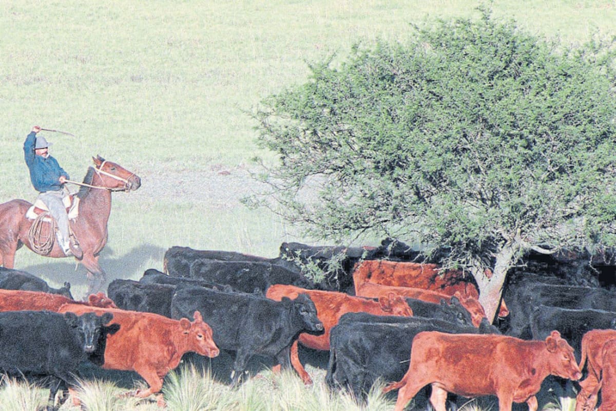 Peón rural: dar de alta a un empleado implica seis trámites ante diferentes organismos públicos.