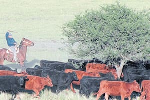 Peón rural: dar de alta a un empleado implica seis trámites ante diferentes organismos públicos.