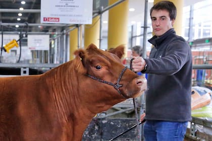 Pepe Pestalardo, cabañero de la raza Angus