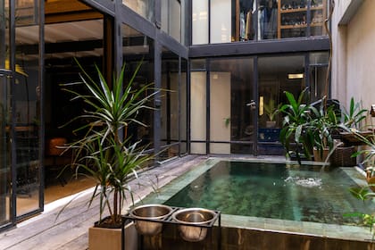 Pequeño jardín, con plantas y pileta de piedras energéticas procedentes de Bali