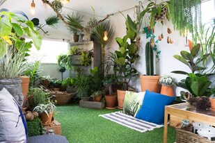 Un pequeño jardín dentro de una pequeña habitación crea un espacio verde muy relajante y acogedor