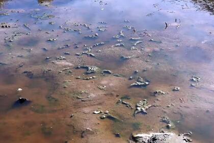 Pequeño lago en Ariège