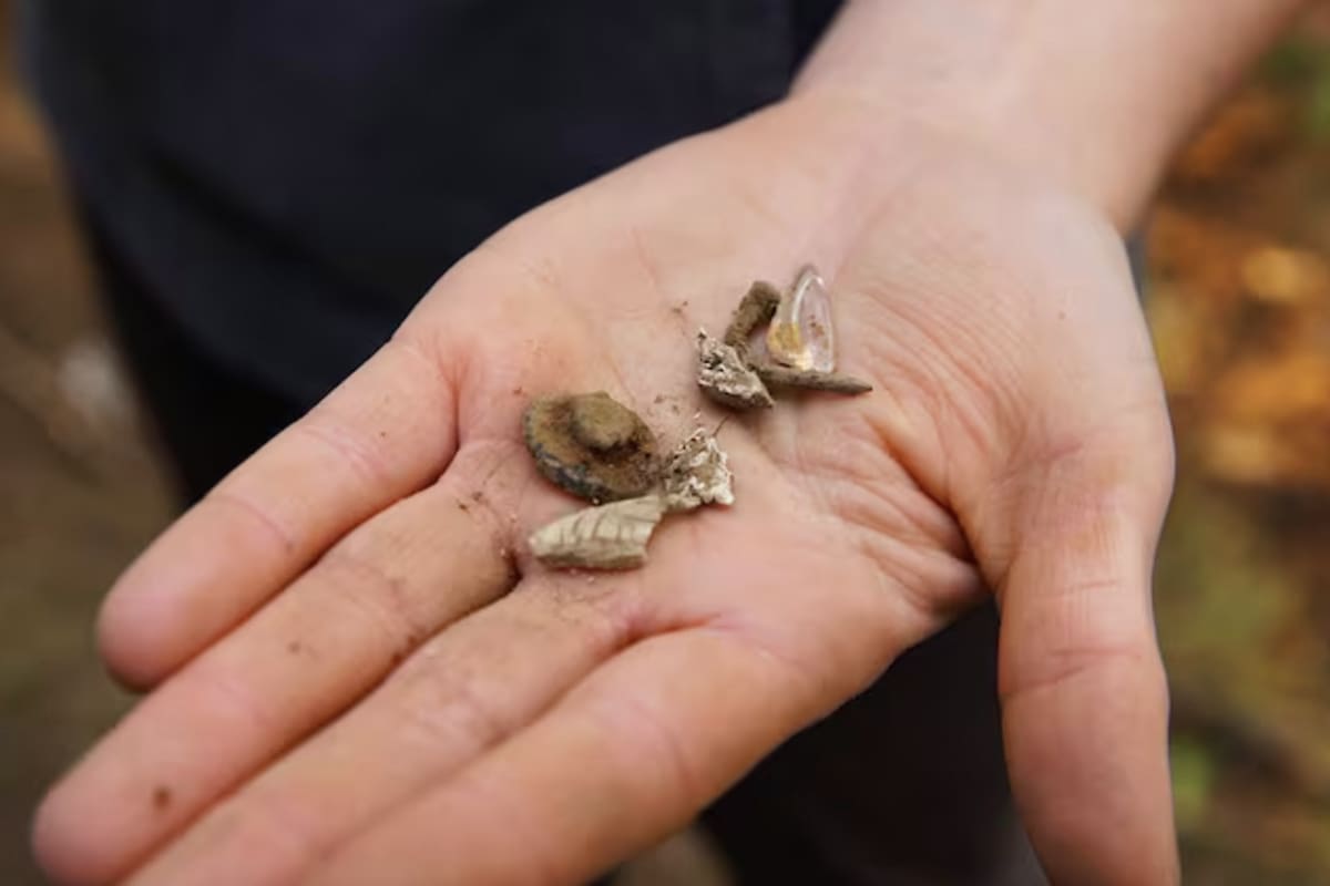 Pequeños artefactos domésticos descubiertos en un sitio de excavación en la casa de una antigua familia maderera negra en el municipio de Maxville, Oregon (opb.org)