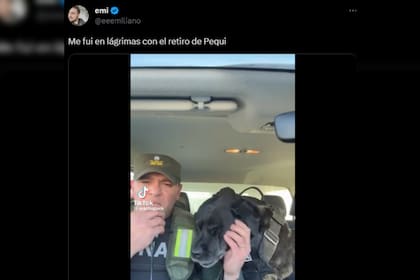 Pequi se llevó todos los aplausos (Captura Twitter)
