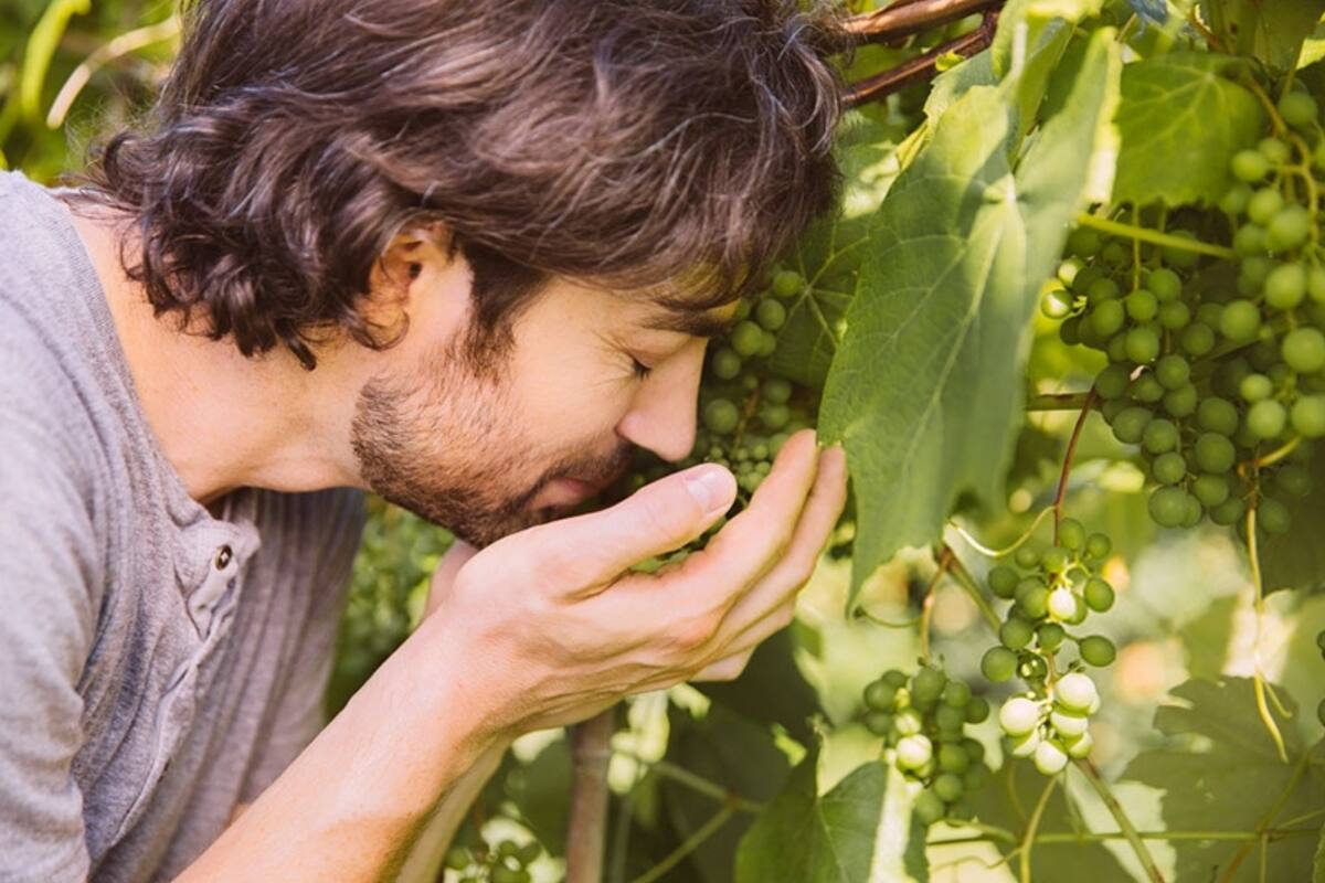 Perder el gusto y el olfato es uno de los síntomas más destacados del coronavirus