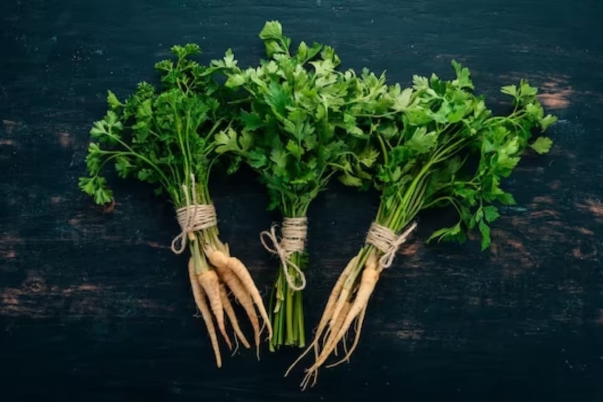 Perejil, el aliado verde que tiene muchos beneficios (Foto: Freepik)