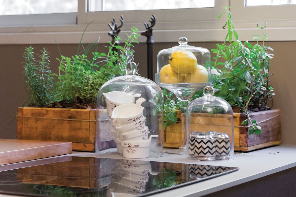 Perejil, menta y albahaca para tener siempre a mano. La clave: tenerlas siempre cerca de una ventana.