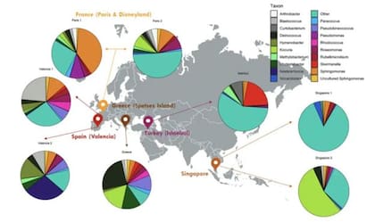 Perfiles taxonómicos de las muestras de chicles recogidos del suelo de cinco países diferentes