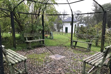 Pérgola octogonal en hierro, por la que trepa una glicinas de flores blancas. Al florecer, forma un manto de sombra y perfume. Paisajismo: Alejandra De Dominicis.