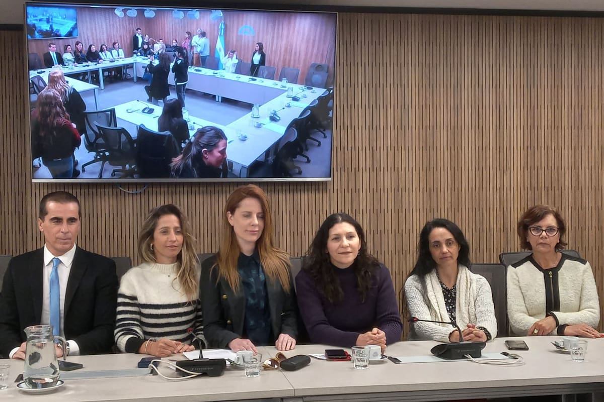Periodistas Argentinas expuso un informe contra Pedro Brieger en la Comisión de Mujeres y Diversidad de Diputados: “En esto no hay grieta”