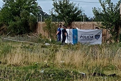 Peritos de la policía bonaerense trabajaron en el lugar del hallazgo de restos humanos