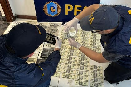 Peritos de la Policía Federal revisan la calidad de los billetes falsificados