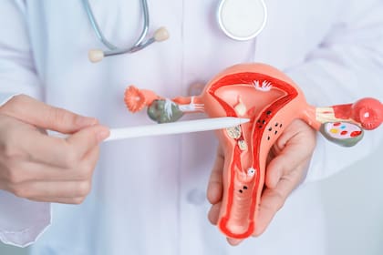 Permanecer con ropa mojada mucho tiempo puede generar infecciones vaginales por hongos y bacterias