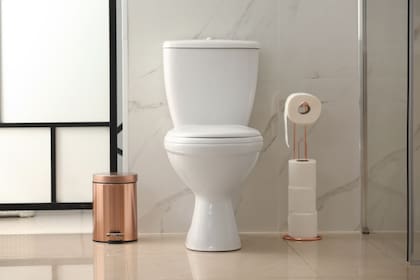 Permanecer sentado durante períodos extendidos en el inodoro aumenta el riesgo de problemas como hemorroides y debilitamiento de los músculos pélvicos