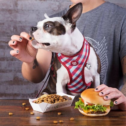 Perrito y dueño comen rico en Dean & Dennys.