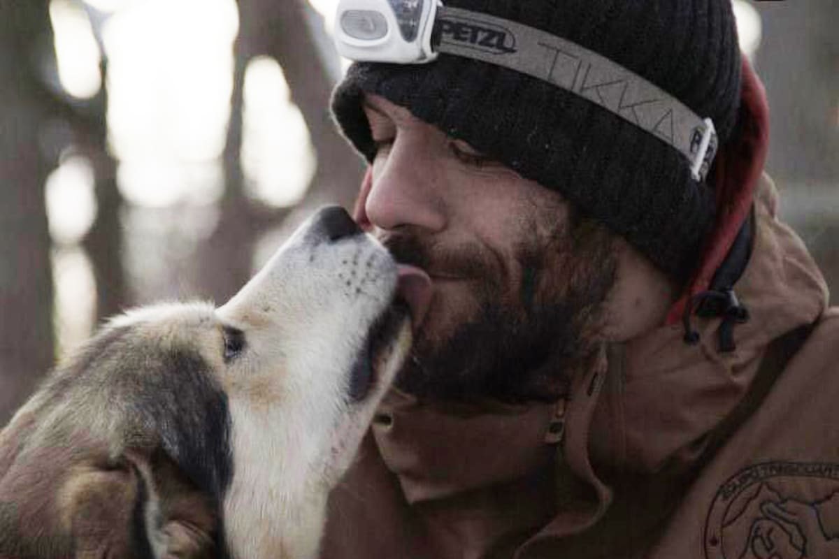 Perro y humano en aventuras en la nieve