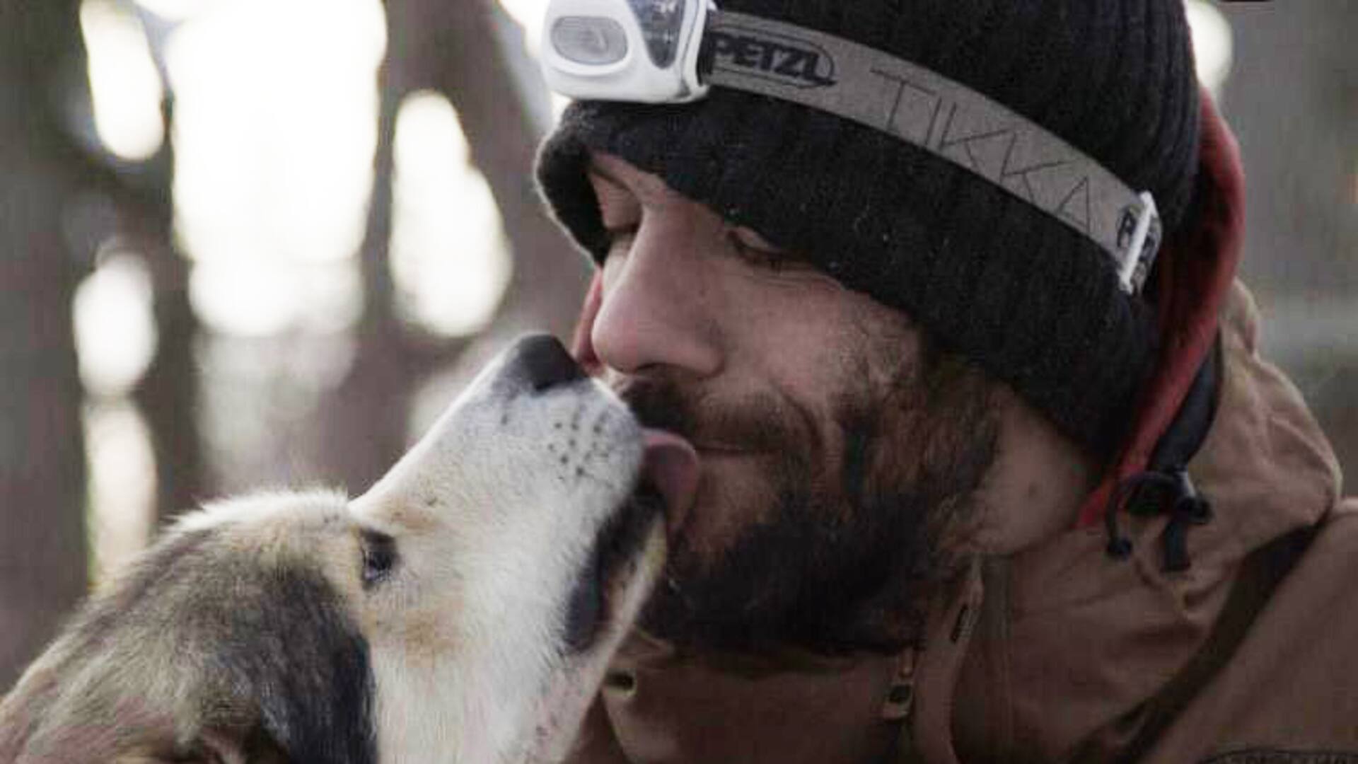 Perro y humano en aventuras en la nieve