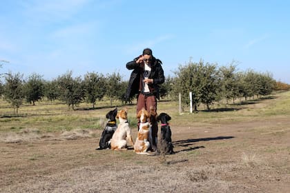 Perros truferos