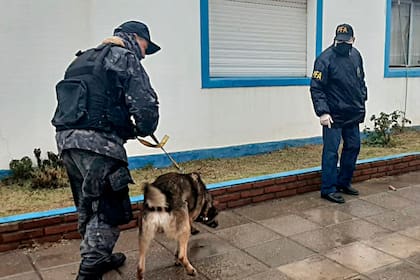 Perros de rastreo buscaron pistas sobre el paradero de Facundo Astudillo Castro en la comisaría de Mayor Buratovich