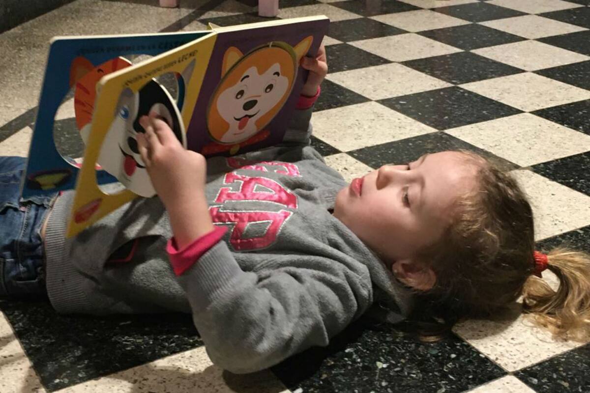 Perros, gatos, dinos y conejos: en estos libros para chicos y chicas viven muchos animales