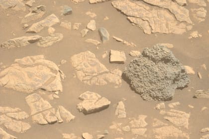 Perseverance capturó esta imagen el 13 de marzo de 2025 (Foto: Gentileza NASA)