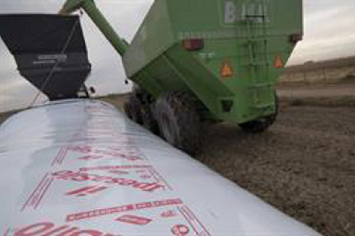 Persisten las diferencias por el manipuleo de los silobolsas